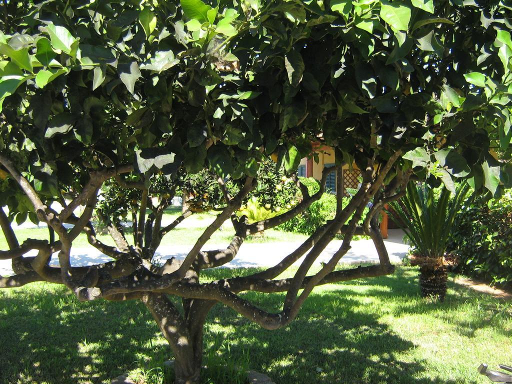 Tenuta Paifer Otranto Eksteriør bilde